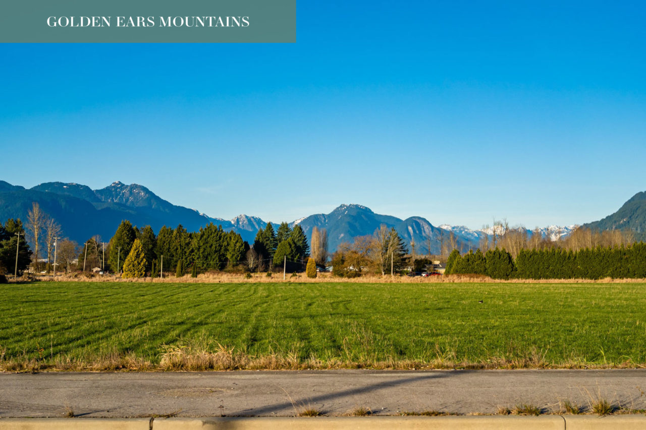 City & Laurel Maple Ridge Condos starting at 399,900 City & Laurel Maple Ridge Condos starting at 399,900